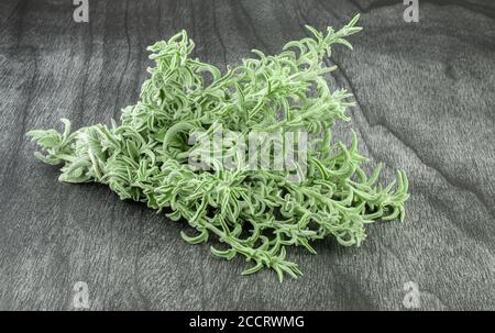 Fresh raw sage bunch on dark wooden table. Green sage herb for Herbal tea. Salvia officinalis. Stock Photo