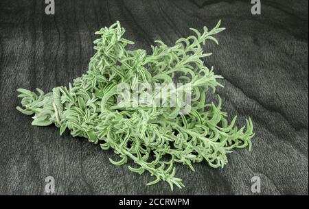 Fresh raw sage bunch on dark wooden table. Green sage herb for Herbal tea. Salvia officinalis. Stock Photo