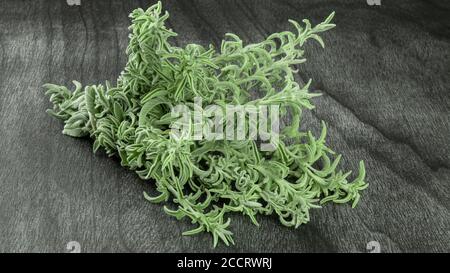 Fresh raw sage bunch on dark wooden table. Green sage herb for Herbal tea. Salvia officinalis. Stock Photo