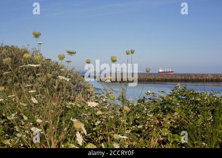 A barge on the Columbia river in Astoria, Oregon, USA. Stock Photo