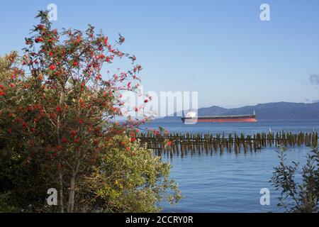 A barge on the Columbia river in Astoria, Oregon, USA. Stock Photo