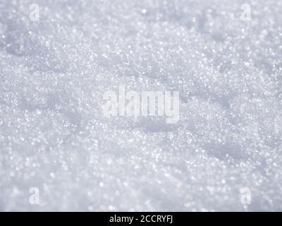 Selective focus. Winter natural texture background with white snow Stock Photo