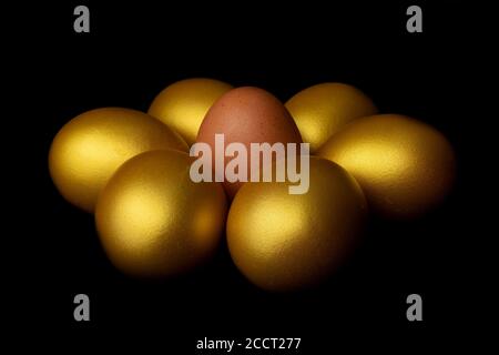 Close-up view of fresh egg chicken surrounded by gold eggs on black background Stock Photo