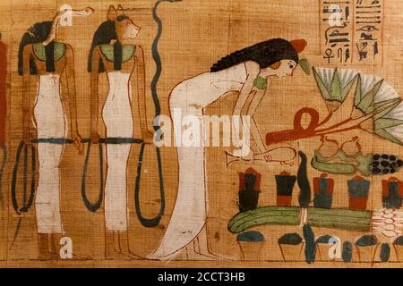 Papyrus in Museum of Egyptian Antiquities, Cairo Stock Photo