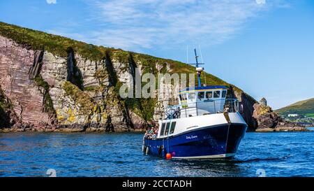 Dingle, Ireland, August 2018 Boat tour leaving Dingle harbour for sightseeing and Fungie Dolphin watching with rocky cliff in the background. Co Kerry Stock Photo