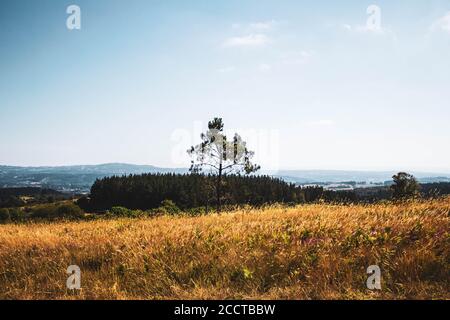 lonely tree in the middle of the field against mountains and blue sky Stock Photo