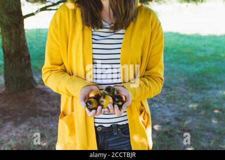 Girl in a Yellow Sweater Holding a Handful of Fresh Garden Tomatoes Stock Photo