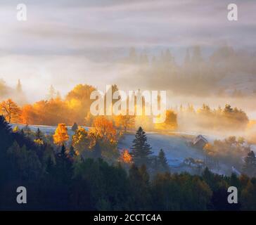Autumn rural landscape. Natural landscape. The lawn is enlightened by the sun rays. Fantastic scenery with morning fog. Green meadows in frost. Pictur Stock Photo