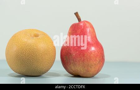 Fresh pear fruits. Asian (Pyrus pyrifolia) and Red (Pyrus communis 'Williams') pears. Natural food. Fruits for juice and jams. Blue background. Stock Photo