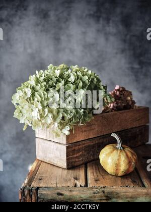 Dry hydrangea green and pink flower in wooden box, yellow decorative pumpkin on wooden table. Autumn decoration. Vertical shot. Stock Photo
