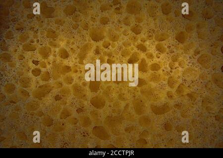 Closeup of a yellow texture with lots of varying holes Stock Photo