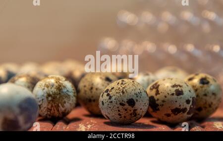 Quail eggs. Culinary delicacy. Aphrodisiac food. In Japanese cuisine, they are sometimes used raw or cooked as tamago in sushi and are often found at Stock Photo