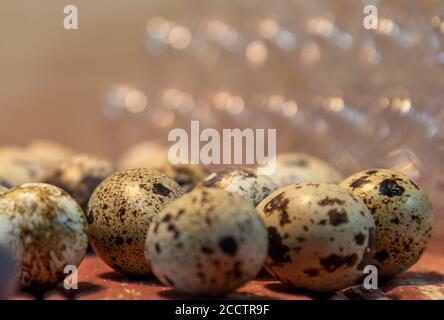 Quail eggs. Culinary delicacy. Aphrodisiac food. In Japanese