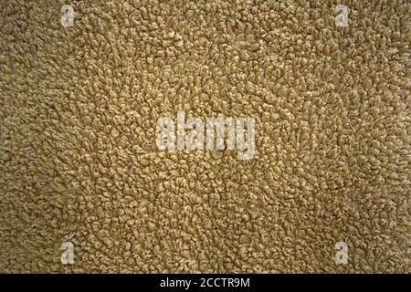 Closeup of a light brown texture with lots of varying snubs Stock Photo