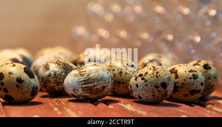 Quail eggs. Culinary delicacy. Aphrodisiac food. In Japanese