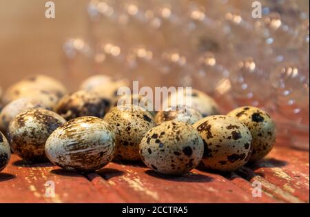 Quail eggs. Culinary delicacy. Aphrodisiac food. In Japanese