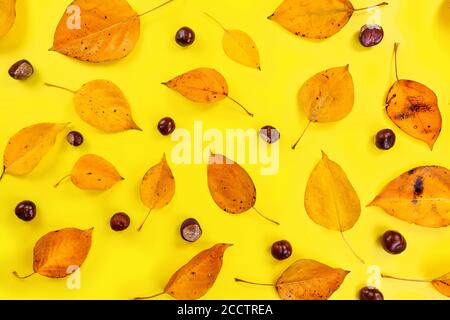 Tabletop view, gold brown colored autumn leaves and horse chestnuts on yellow board. Abstract fall background Stock Photo