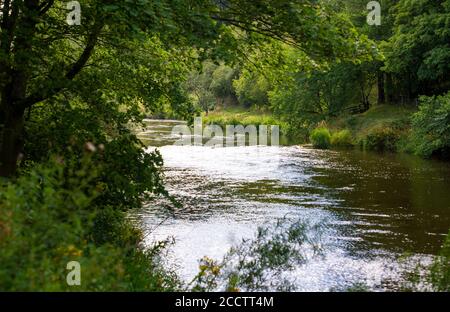 The River Till a tributary of the River Tweed near Etal, Northumberland, England, UK Stock Photo