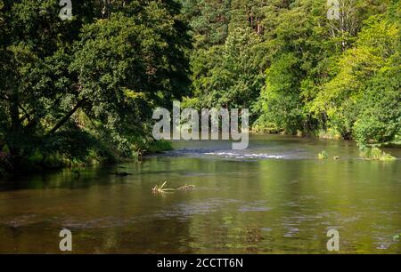 The River Till a tributary of the River Tweed near Etal, Northumberland, England, UK Stock Photo