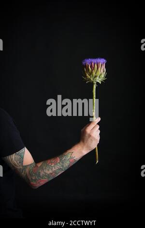 16,400+ Artichoke Flower Stock Photos, Pictures & Royalty-Free Images -  iStock | Reishu, Reishi mushroom