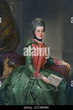 Johann Georg Ziesenis - Portret van Frederika Sophia Wilhelmina (1751-1820), prinses van Pruisen, echtgenote van Willem V, prins van Oranje-Nassau. Stock Photo