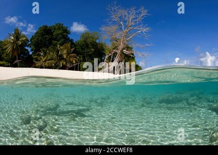Shallow area of a beach in the Sipadan Island, Malaysia Stock Photo