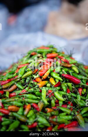 Detail of red and green chillies for sale at Khlong Toei market, Bangkok Stock Photo