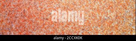 Panorama background with abstract pink dotted fine texture. Stock Photo