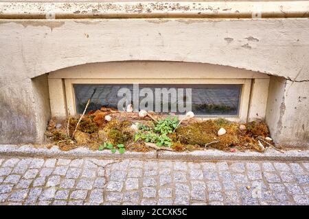 Old wooden basement window with decoration. Stock Photo