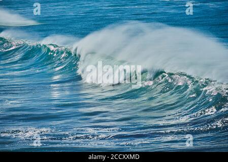 Breaking wave, Atlantic Ocean, Fuerteventura, Canary Islands, Spain Stock Photo