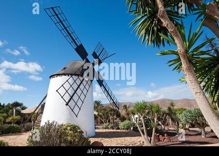 Windmill, Cheese Museum, Centro de Artesania Molino, Antigua, Fuerteventura, Canary Islands, Spain, Atlantic Stock Photo