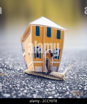 House on miniature snail, conceptual image Stock Photo
