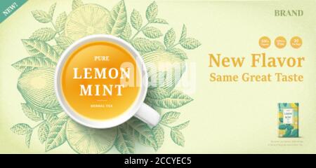 Lemon mint tea banner ads with engraving ingredients background, 3d  illustration top view tea cup Stock Vector Image & Art - Alamy