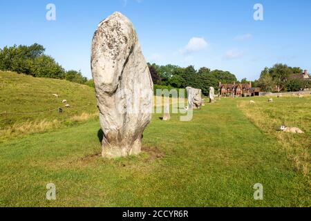 Standing stones in south west quadrant neolithic stone circle henge prehistoric monument, Avebury, Wiltshire, England UK Stock Photo