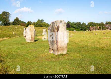 Standing stones in south west quadrant neolithic stone circle henge prehistoric monument, Avebury, Wiltshire, England UK Stock Photo