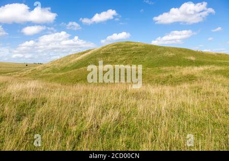 Adam's Grave prehistoric neolithic long barrow, Alton Barnes, Wiltshire, England, UK Stock Photo