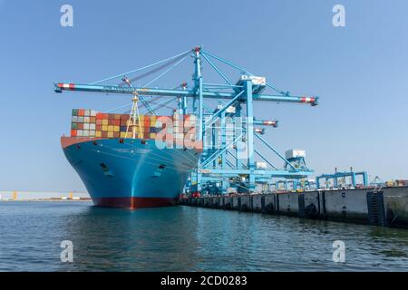 APM Terminal with Maersk container vessel unloading in the