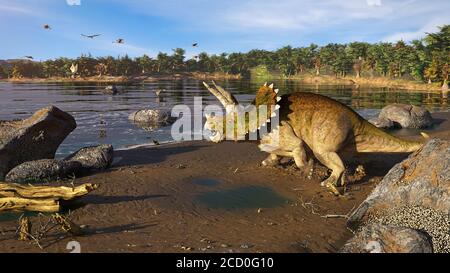 Triceratops horridus dinosaur at the ocean Stock Photo
