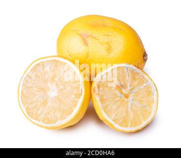 Moldy and spoiled yellow Lemons. Rotten and moldy lemon isolated on ...