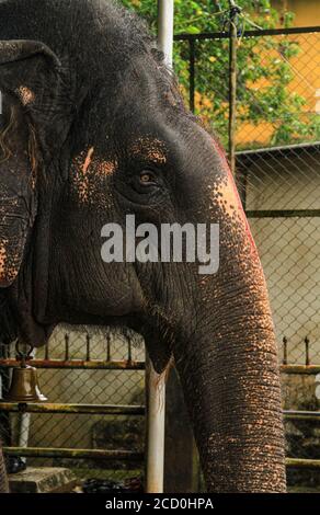 Kollur Mookambika Temple, India, a Hindu temple dedicated to the Mother Goddess known as Mookambika Devi, It is situated in the foothills of Kodachadri Stock Photo