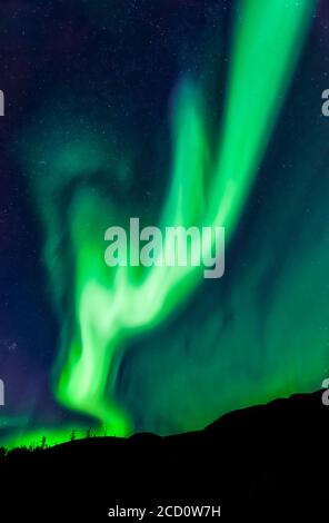Intense antler-shaped aurora waving over Mount Fairplay, Taylor Highway, Interior Alaska in autumn; Alaska, United States of America Stock Photo