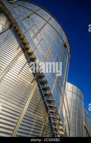 Silver metal grain storage bins with stairs leading up the side to the top against a blue sky; Alberta, Canada