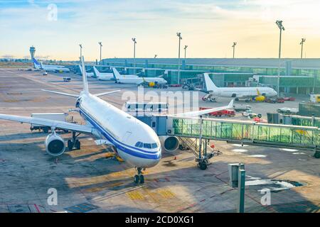 Glass jet bridge passage, airplanes by terminal in sunset light, buses, airfield, of Barcelona International Airport, Spain Stock Photo