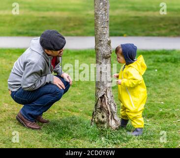 Father playing peek-a-boo with 21 month old daughter behind a tree trunk in a park; North Vancouver, British Columbia, Canada Stock Photo