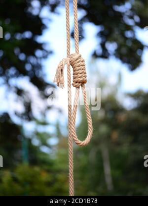 Gallows hanging rope knot tied noose outdoors Stock Photo