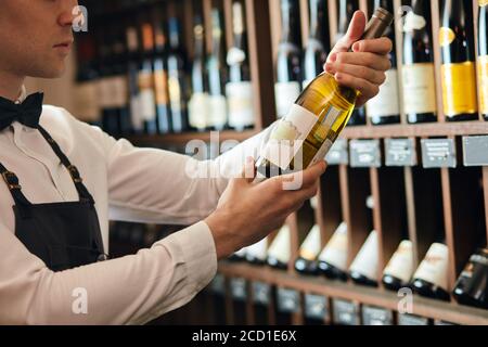 Handsome and young elegant brown haired cavist or wine seller with a bottle of wine on the background of dark wine house with shelves of bottles with Stock Photo