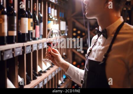 tasting experience in hotel or restaurant. Professional guy or sommelier holding glass of delicious red wine appreciting his tint with bottles collect Stock Photo