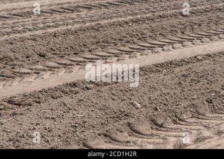 Heavy duty tractor tyre tracks in recently cropped field. For soil compaction - which is a problem for growing crops as it can limit plant growth. Stock Photo