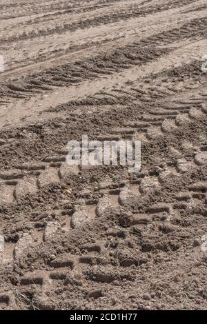 Heavy duty tractor tyre tracks in recently cropped field. For soil compaction - which is a problem for growing crops as it can limit plant growth. Stock Photo