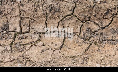 Silt-formed field soil crust cracking with lack of water. For water shortage, soil science, soil mechanics, abstract soil, abstract drought. 16:9 size Stock Photo
